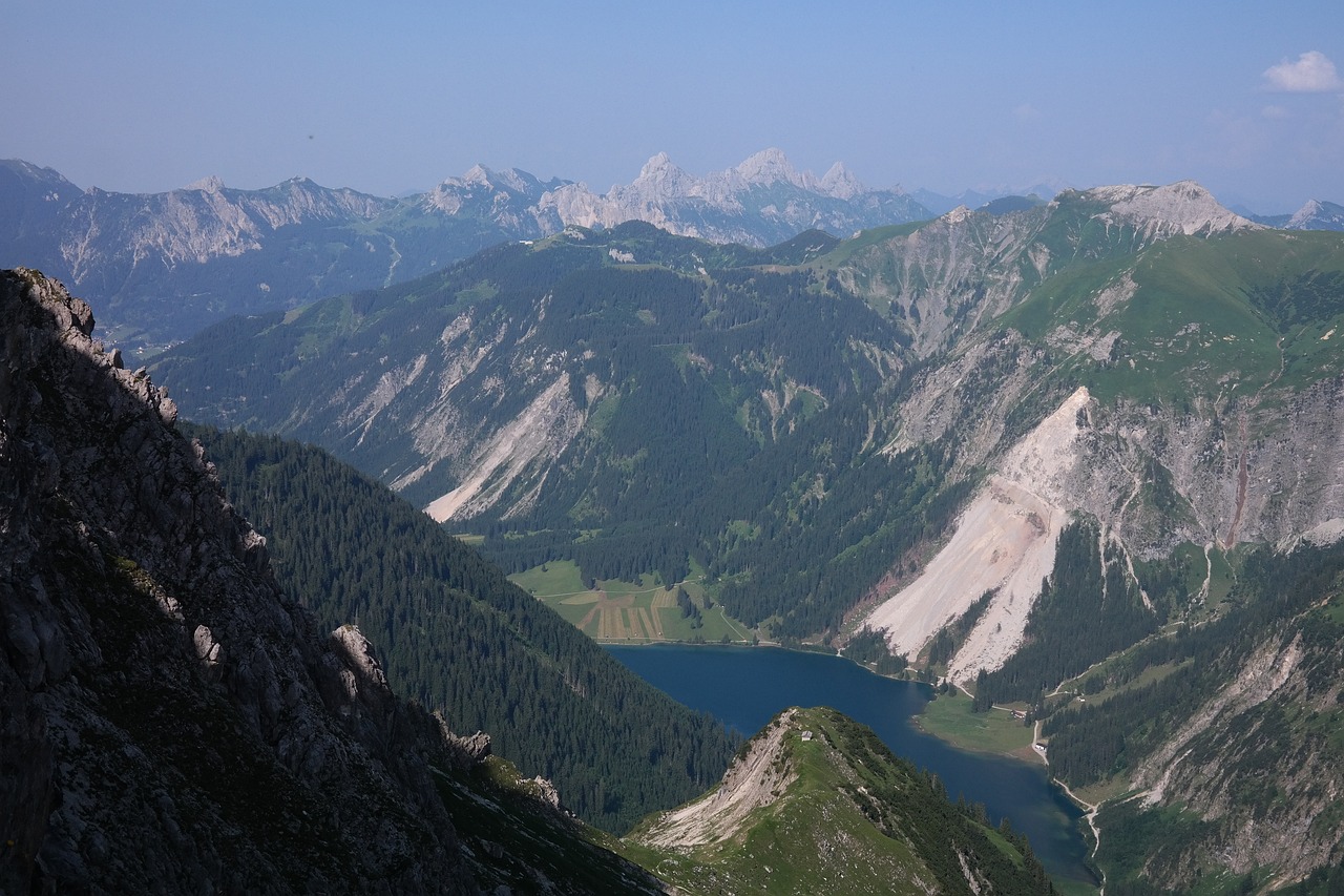 李国彪(“山西焦煤集团有限责任公司”的管理团队都有谁)