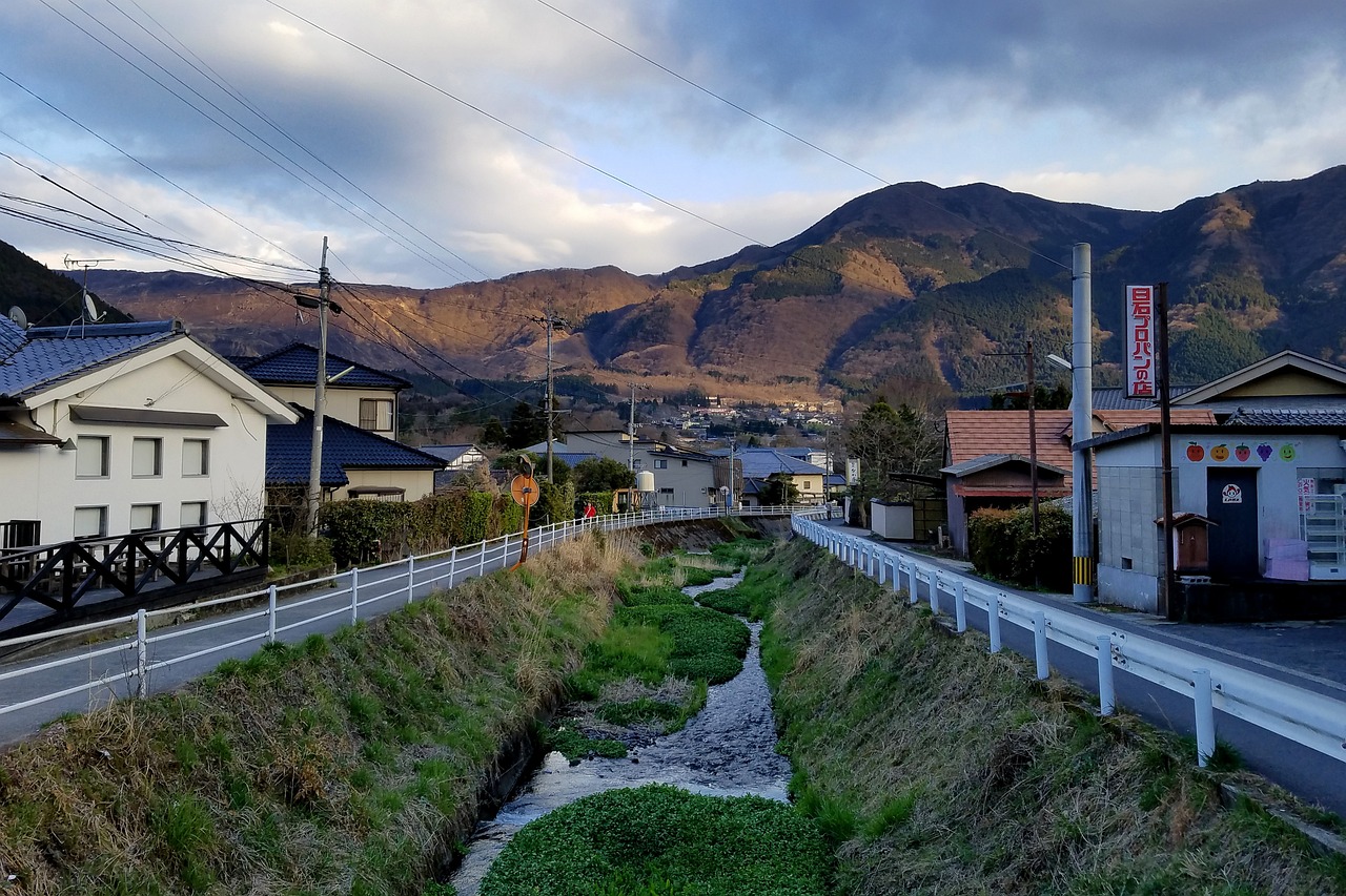 枫泾古镇旅游攻略(上海两日游必去景点)