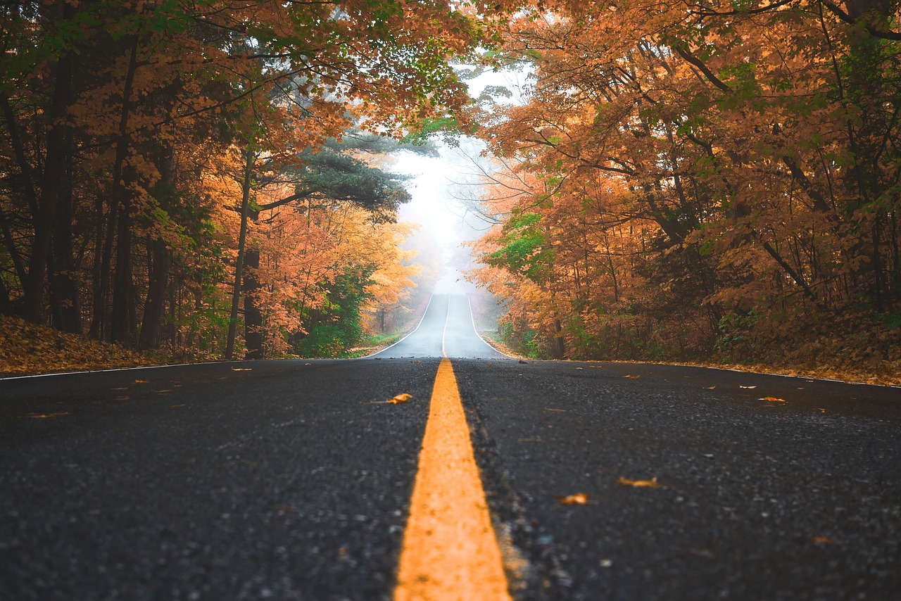 天津市汽车违章查询指南