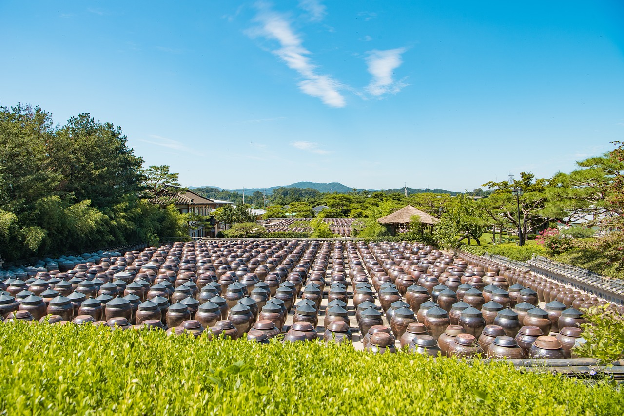 生物地理会考备考指南，掌握核心知识点，轻松应对考试