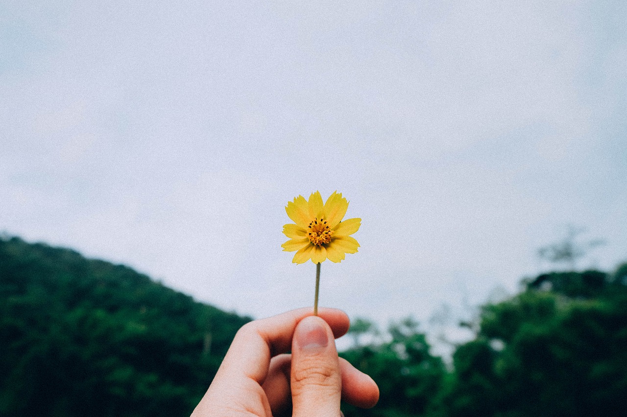 上海的极限挑战，寻找身边的蹦极圣地