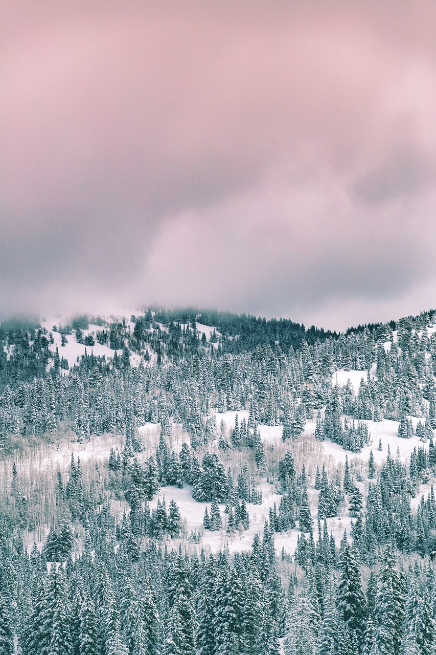 探秘中原雪国——河南滑雪场的冬日魅力