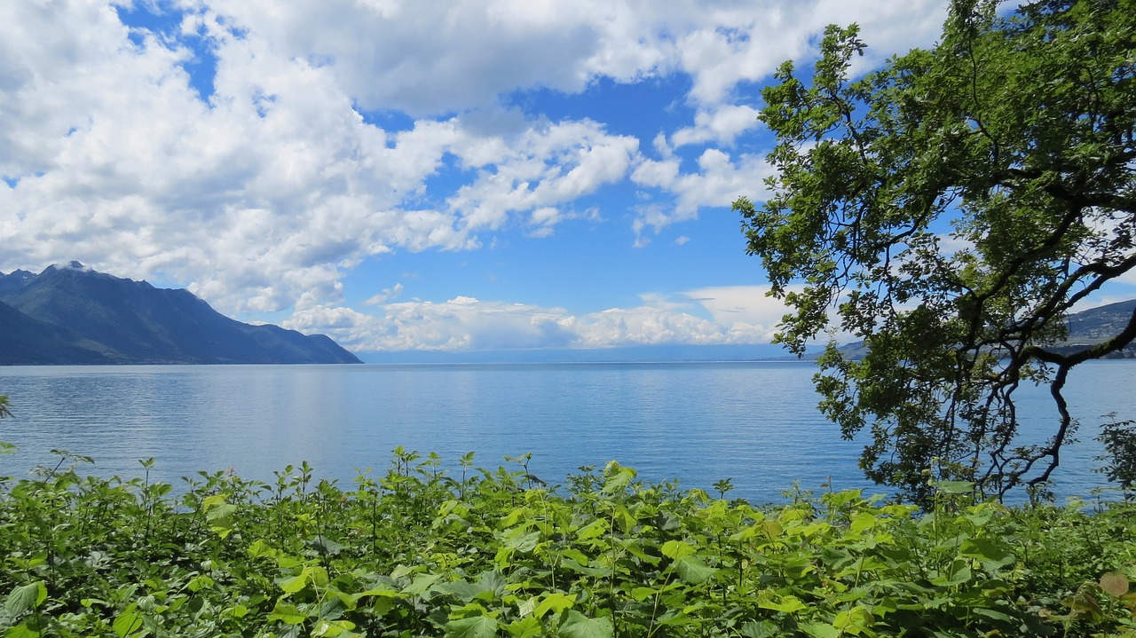 探寻古城风韵——保定，一座不可错过的文化旅游目的地