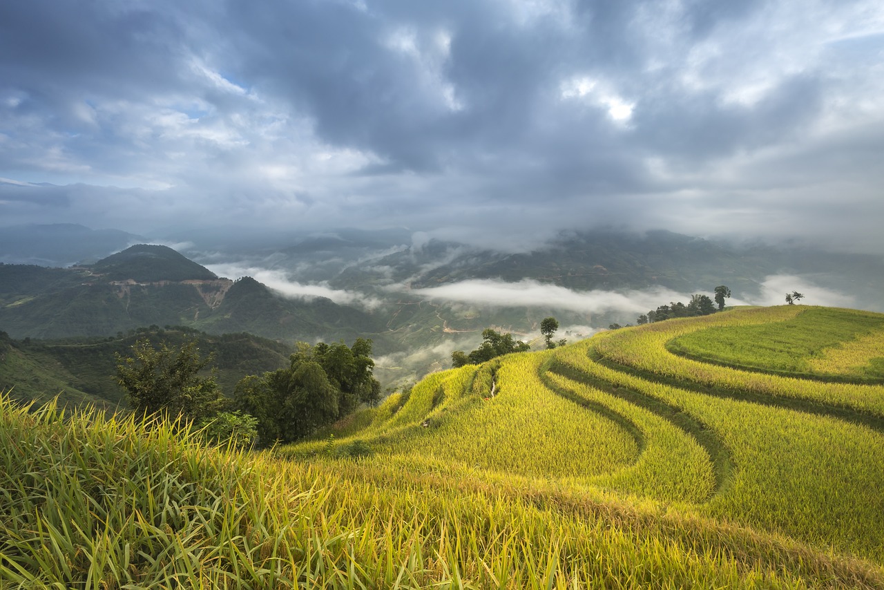 清明小长假，如何玩转春意盎然的旅行目的地？