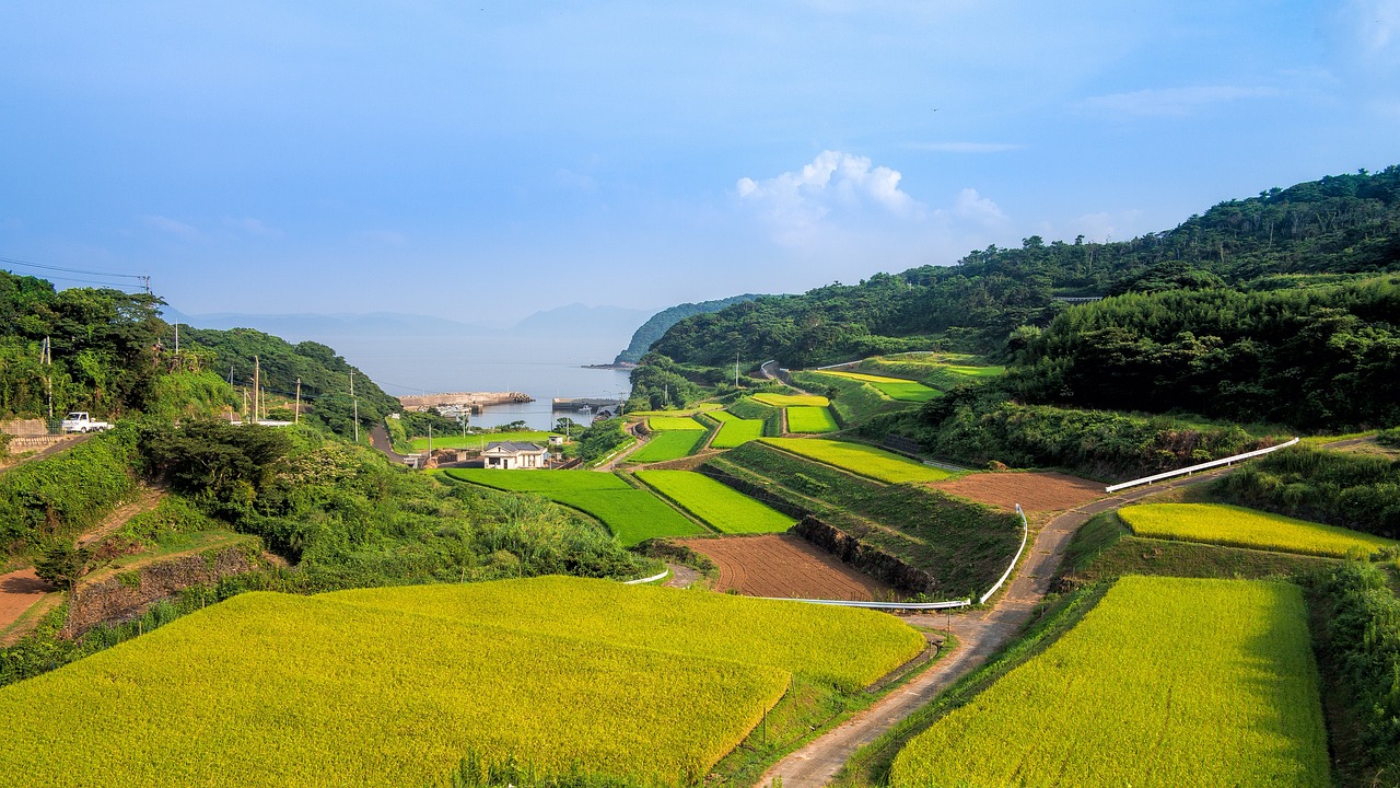 赋能青年，助力乡村振兴